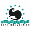 Bern_s
