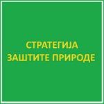 strategija